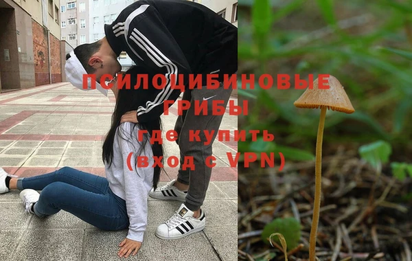 мяу мяу мука Алзамай