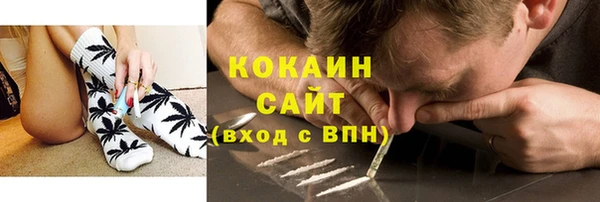 кокс Алексин