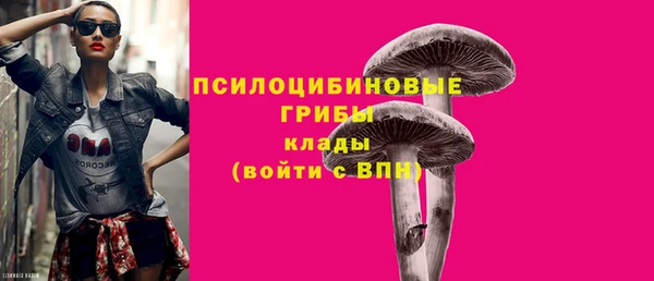 apvp Алексеевка