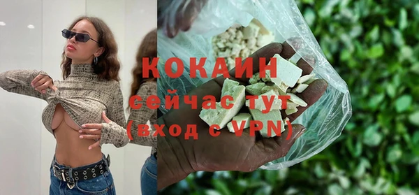 кокс Алексин