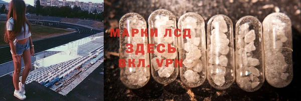 мяу мяу мука Алзамай