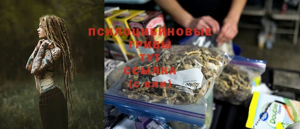 apvp Алексеевка