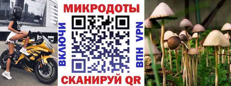 Псилоцибиновые грибы MAGIC MUSHROOMS  блэк спрут ТОР  Венёв 